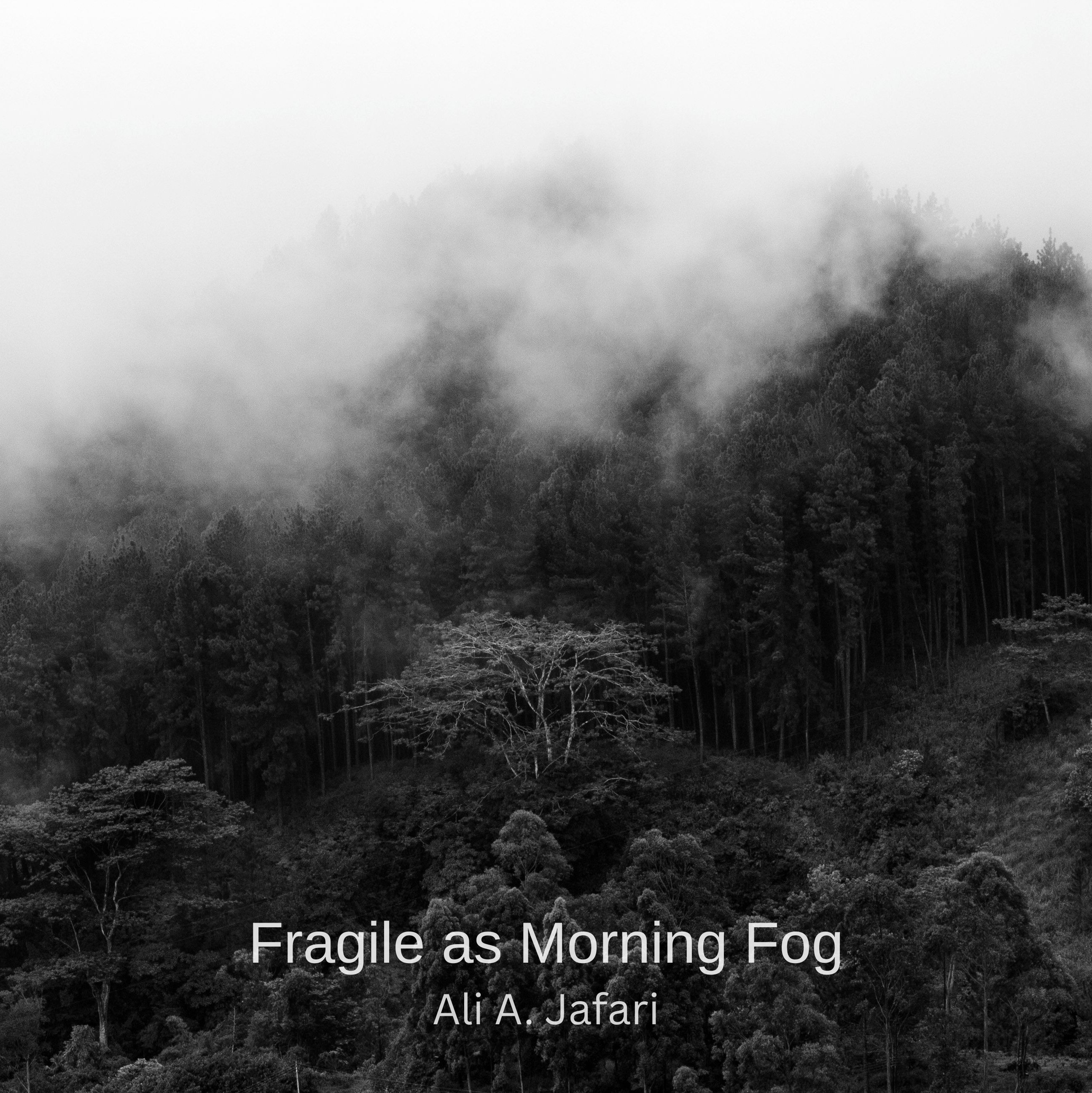 Fragile as Morning Fog