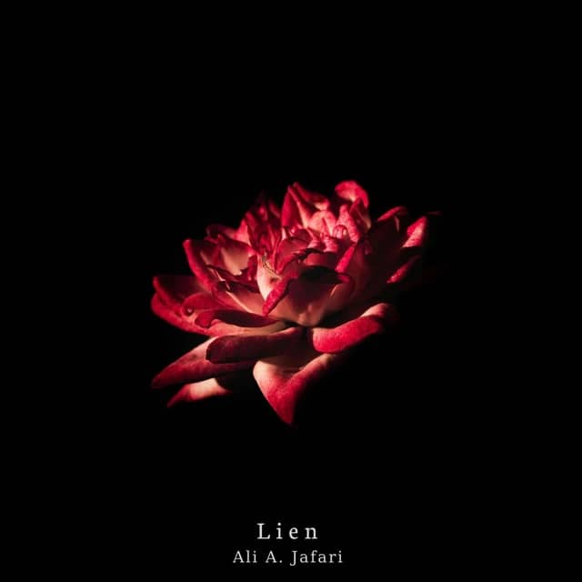 Lien