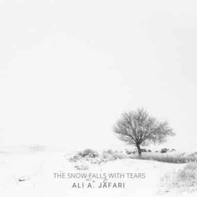 The Snow Falls with Tears